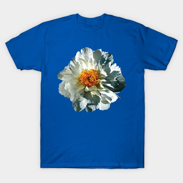 White Peony in Sunshine T-Shirt by SusanSavad